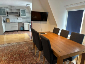 Großes Apartment im DG